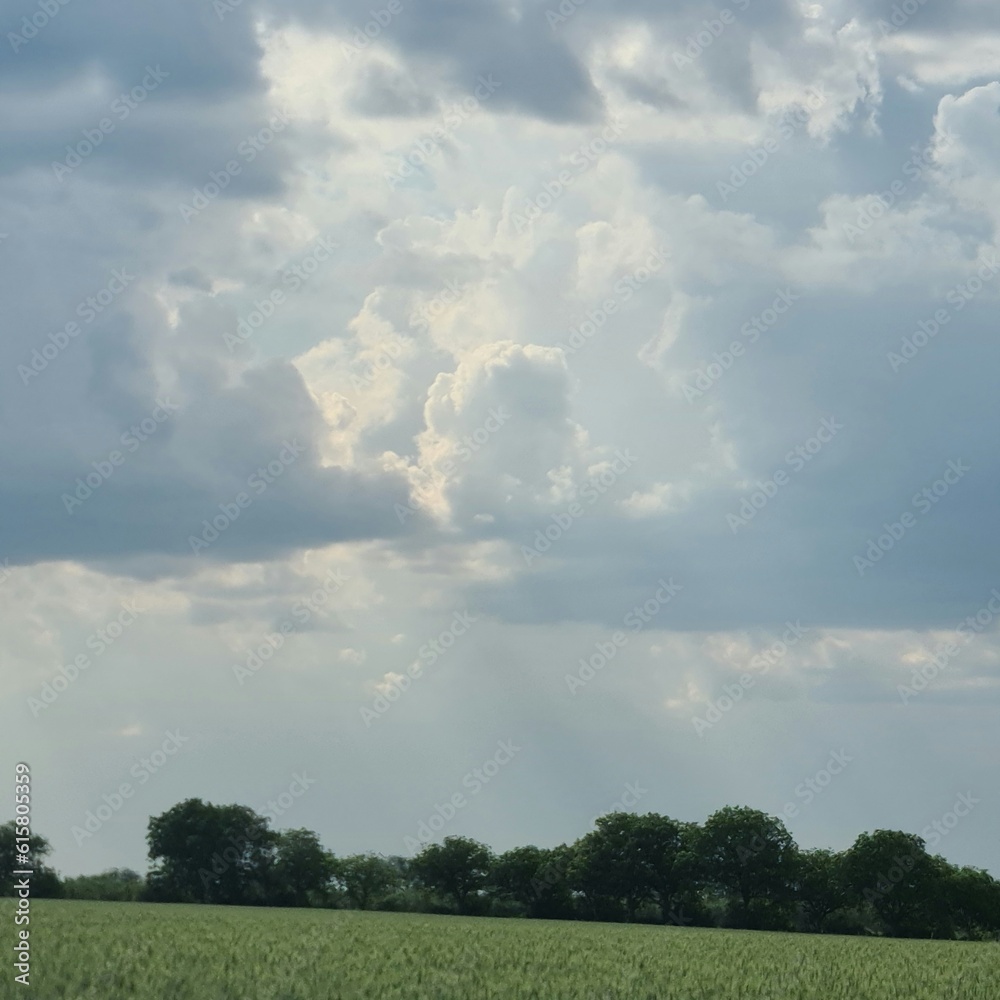 A large green field with trees and clouds in the sky A large green field with trees and clouds in the sky