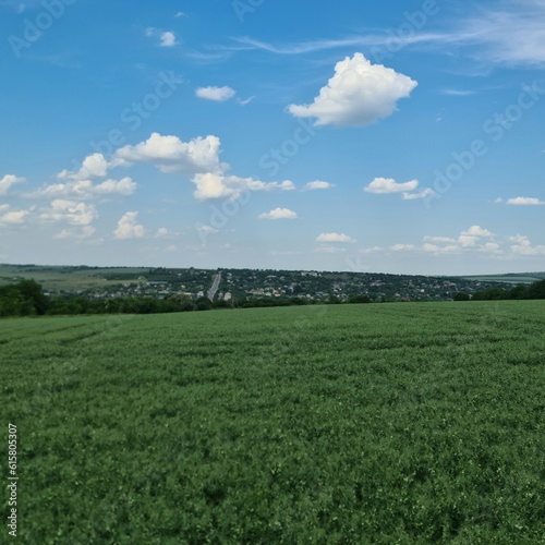 A grassy field with a waterfall in the distance