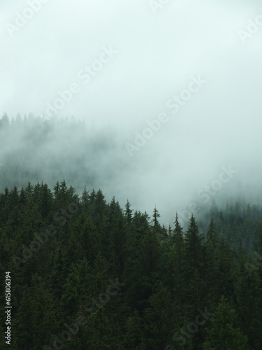 fog in the mountains © Tanya Dyakova