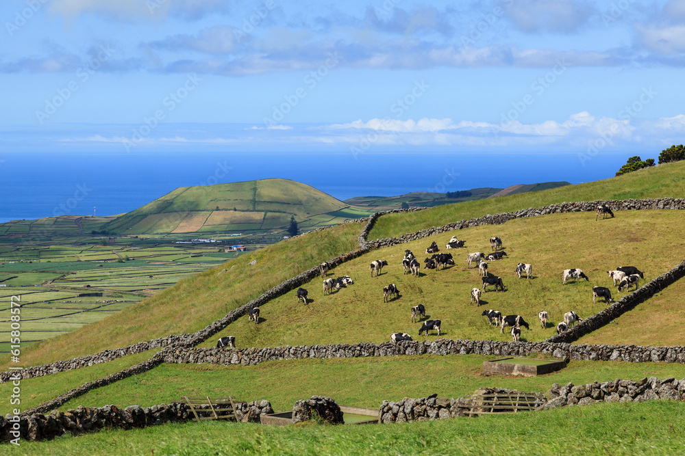 View from the Miradouro da Serra do  Cume in Terceira island, Azores