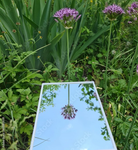 A tablet in the grass