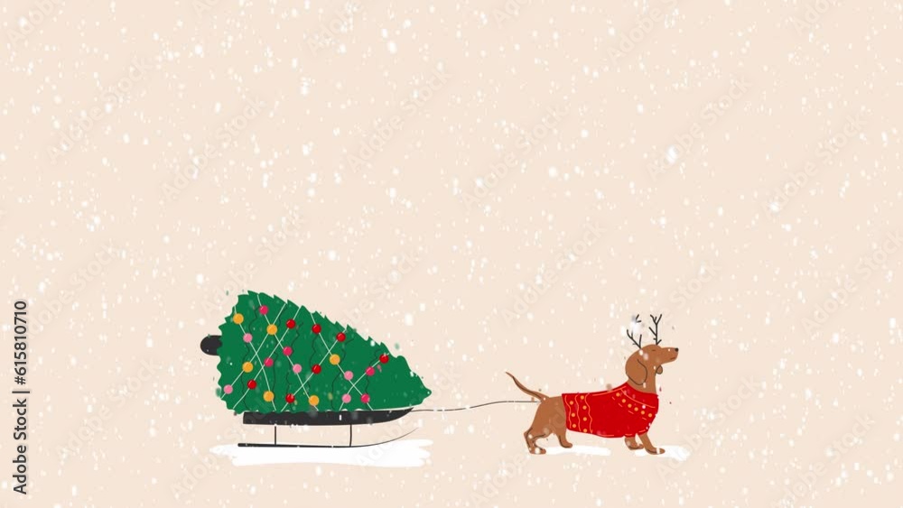 Dachshund dog pulls a Christmas tree on a sleigh. Video flat cartoon ...