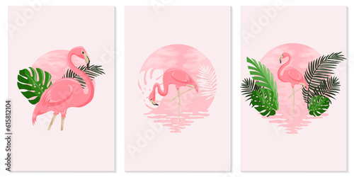 Set of posters with summer vector illustrations of pink flamingo