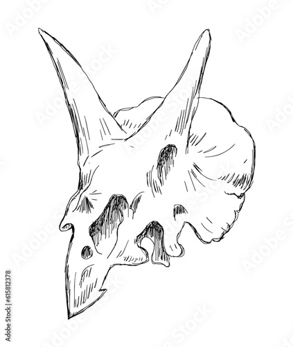Dinosaur skull skeleton. Hooded horned lizard triceratops. Scary monster predator with teeth. The science of paleontology. Black and white vector illustration sketch. Hand drawn ink. Drawing line