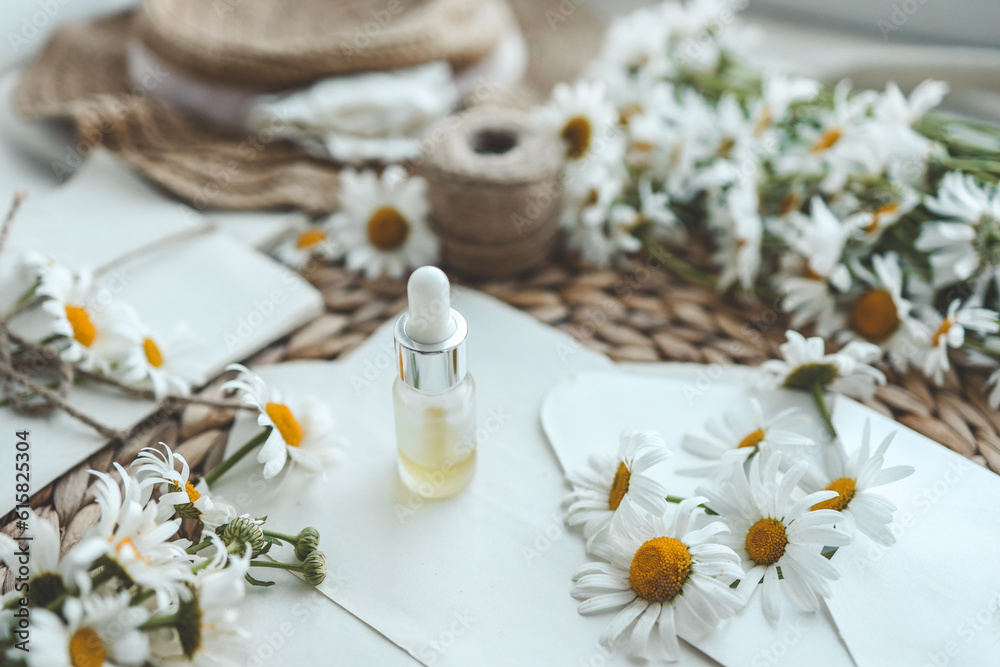 Composition with chamomile flowers and cosmetic bottle of essential oil on white background, top view