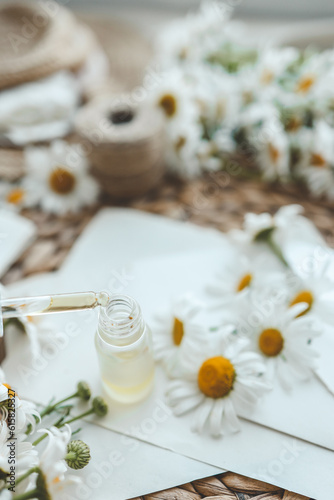 Composition with chamomile flowers and cosmetic bottle of essential oil on white background