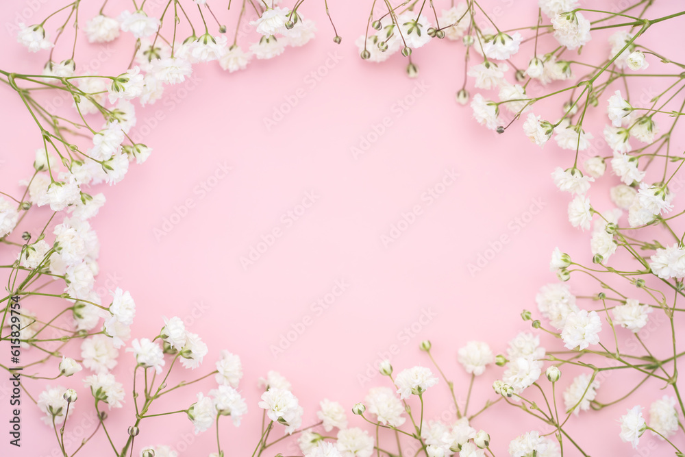 Baby's breath gypsophila round frame border on pink background with soft light. Top view close flatlay
