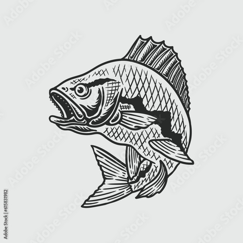 large mouth bass fish hand drawn illustration in vintage style