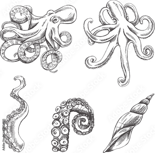 Octopuses, octopus tentacles, seashell vector set. Hand drawn sketch illustration. Collection of realistic ocean creatures  isolated on white background.