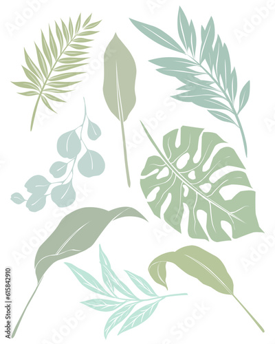 tropical leaves background vector