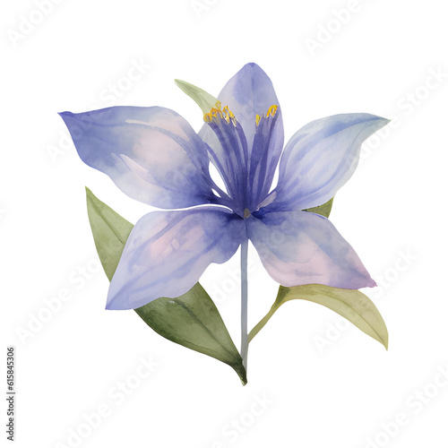 Watercolor of floral isolated on transparent background © Mangata Imagine