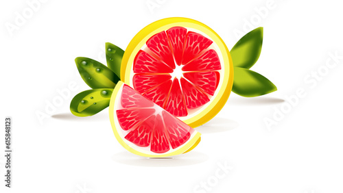 grapefruit design . Real estate , Isolated and vector leaflet . 