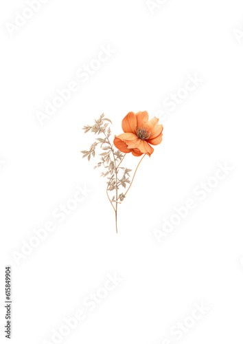 heart shaped flower