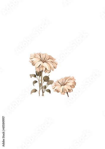flower on white