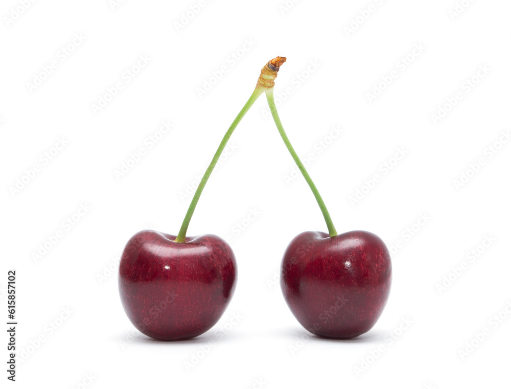 Cherry isolated. Cherries on white background. Sour cherry on white. Cherry isolated. Cherries on white background. Sour cherry on white.
