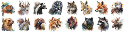 Animals of north america set painted with watercolors on a white background in a realistic manner.