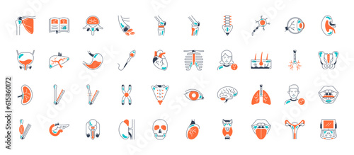 Bundle of body parts and organs icons. Human body vector illustration
