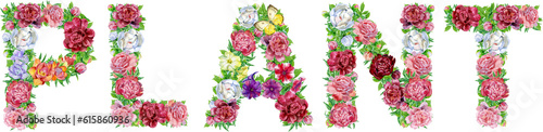 Word PLANT of watercolor flowers for decoration