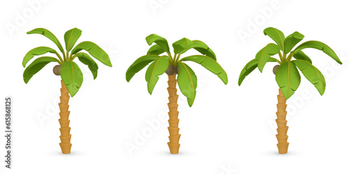 3D Cute cartoon tropical palm tree. Realistic jungle tree on white background. Summertime object. Vector illustration