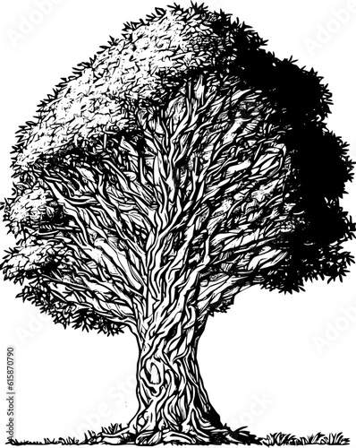 black and white illustration of a tree