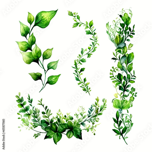 Fototapeta Green vine climbing plant with green leaf set, flat vector illustration isolated on white background