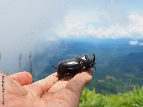 bug on finger
