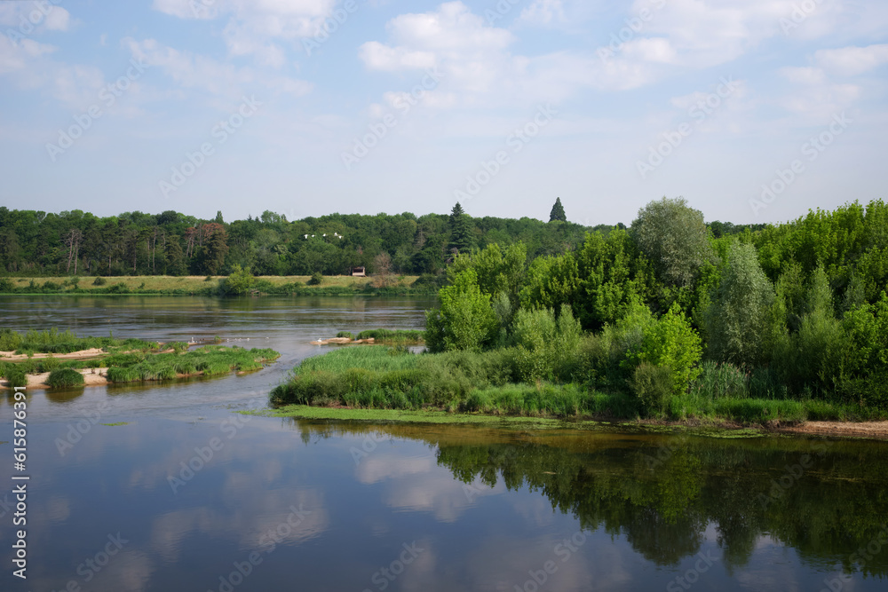 Island of the Saint-Mesmin National Nature Reserve in Loire valley