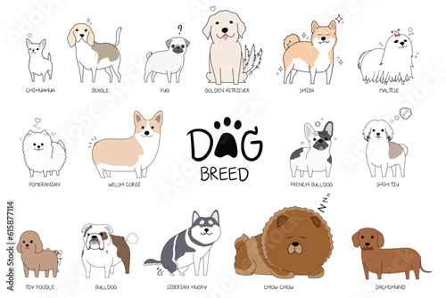 Dog Breed