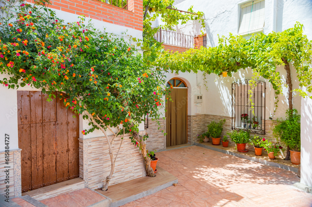 Naklejka premium Andalusian town street