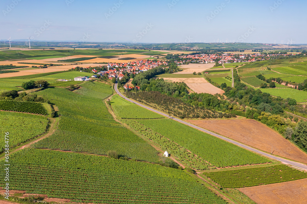 Aerial view of the vineyards near Uffhofen/Germany with a trullo