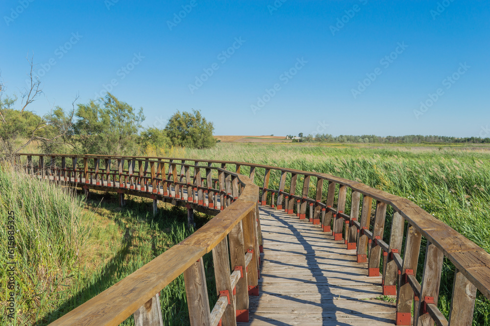 Fototapeta premium wooden bridge over lake
