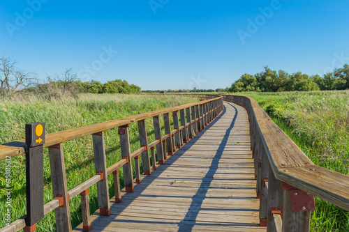 wooden bridge over lake © Antonio