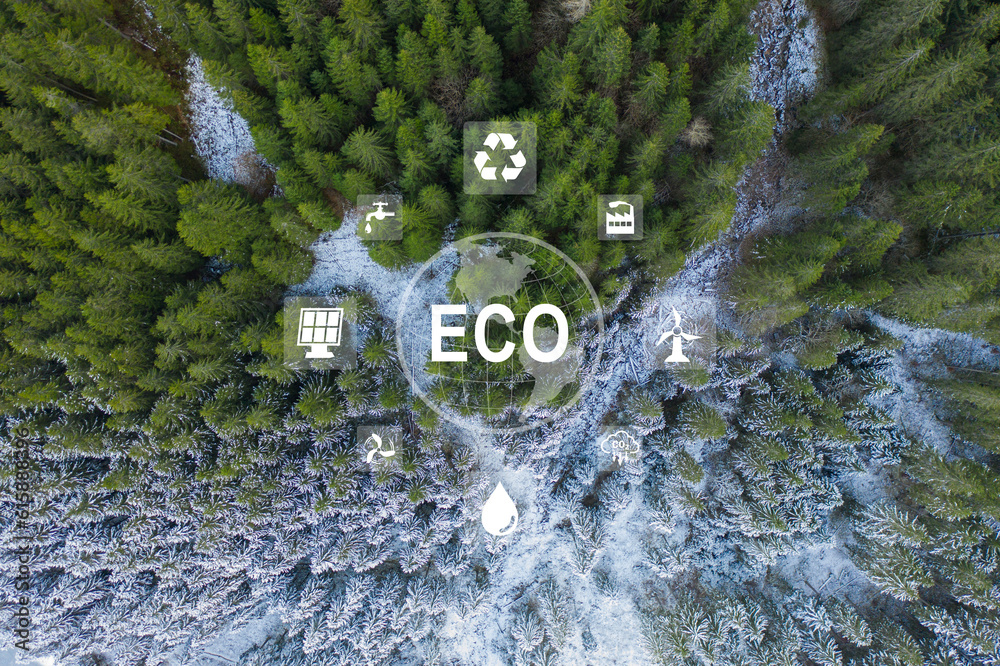 Eco friendly, green company culture concept. Carbon neutral and net zero target. Sustainable