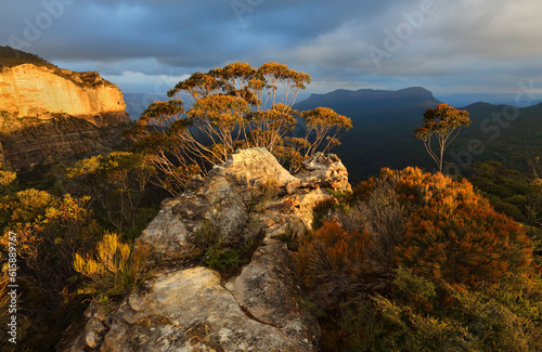 Warm golden sunlight across the rocky escarpment texture and colour in the native bushes and gum trees.  Blue Mountains views to Mount Solitary under a moody sky © Designpics