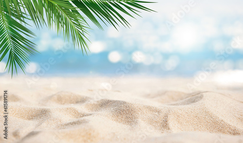 Beautiful sandy beach with blur sky and tree summer background