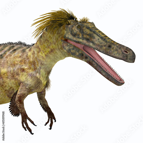 Austroraptor was a carnivorous theropod dinosaur that lived in Argentina in the Cretaceous Period. photo