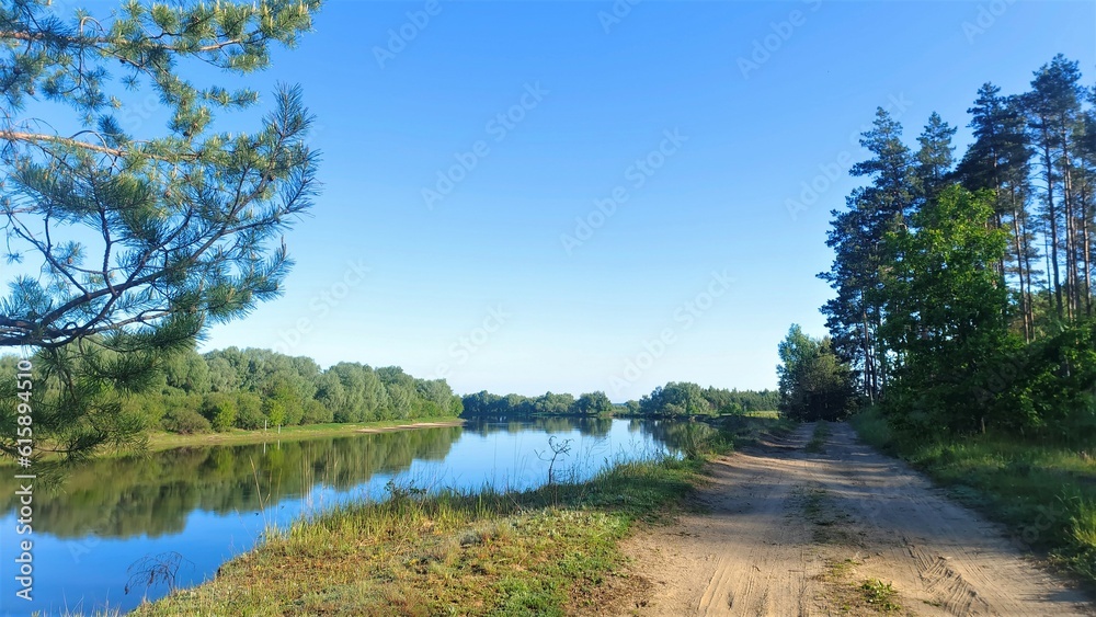 The river is illuminated by the rays of the morning summer sun. A dirt road runs between the river and the pine forest. Grass and willows grow on the opposite bank. The trees and sky are reflected