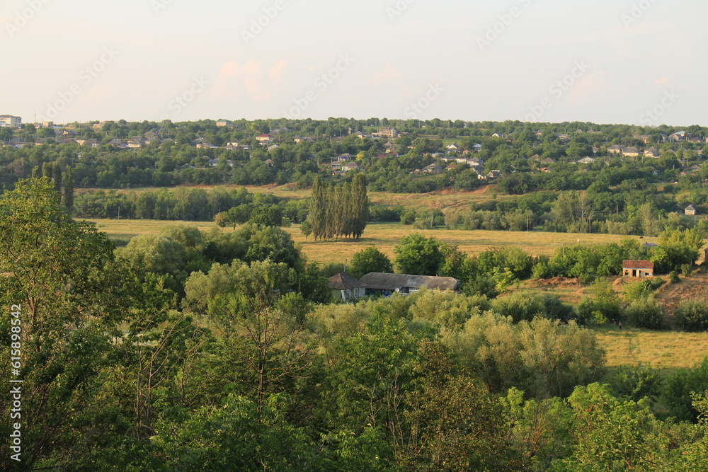 A landscape with trees and buildings