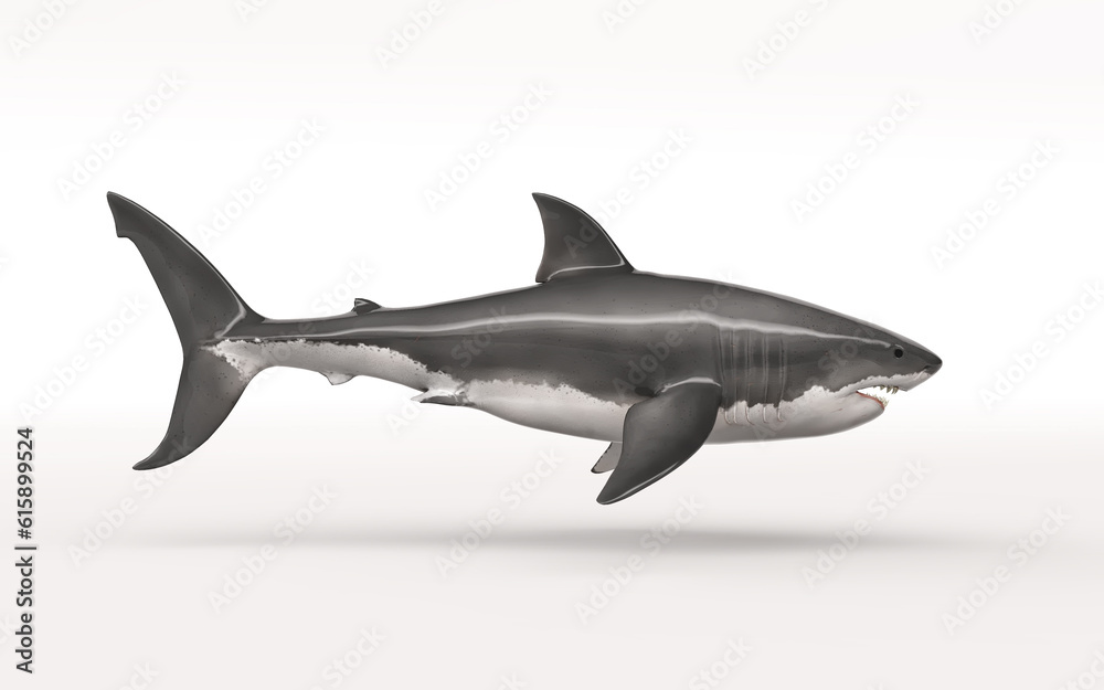 White shark on white background. This is a 3d render illustration White shark on white background. This is a 3d render illustration