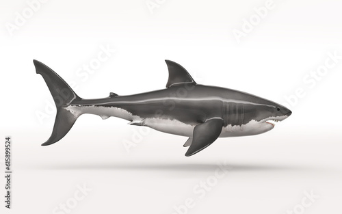 White shark on white background. This is a 3d render illustration