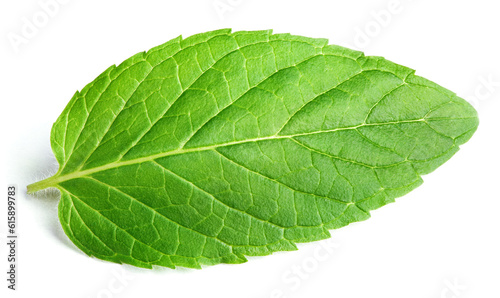 Fresh raw mint leaf isolated on white background