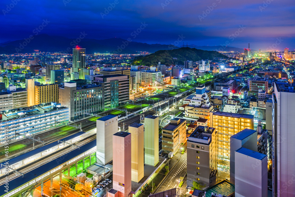 Fototapeta premium Shizuoka City, Japan downtown skyline.