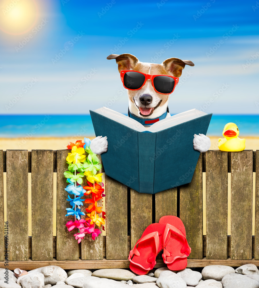 jack russel dog resting and relaxing on a wall or fence at the beach
