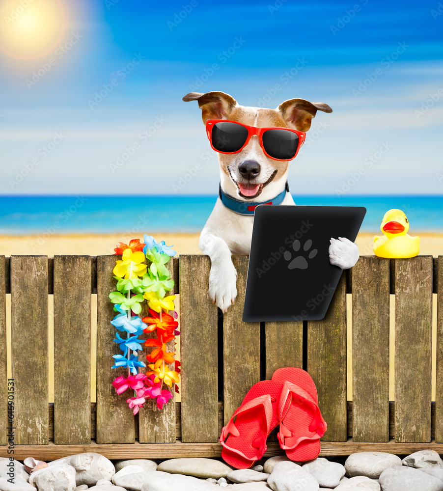 Obraz na plátně jack russel dog resting and relaxing on a wall or fence at the  beach  ocean sho