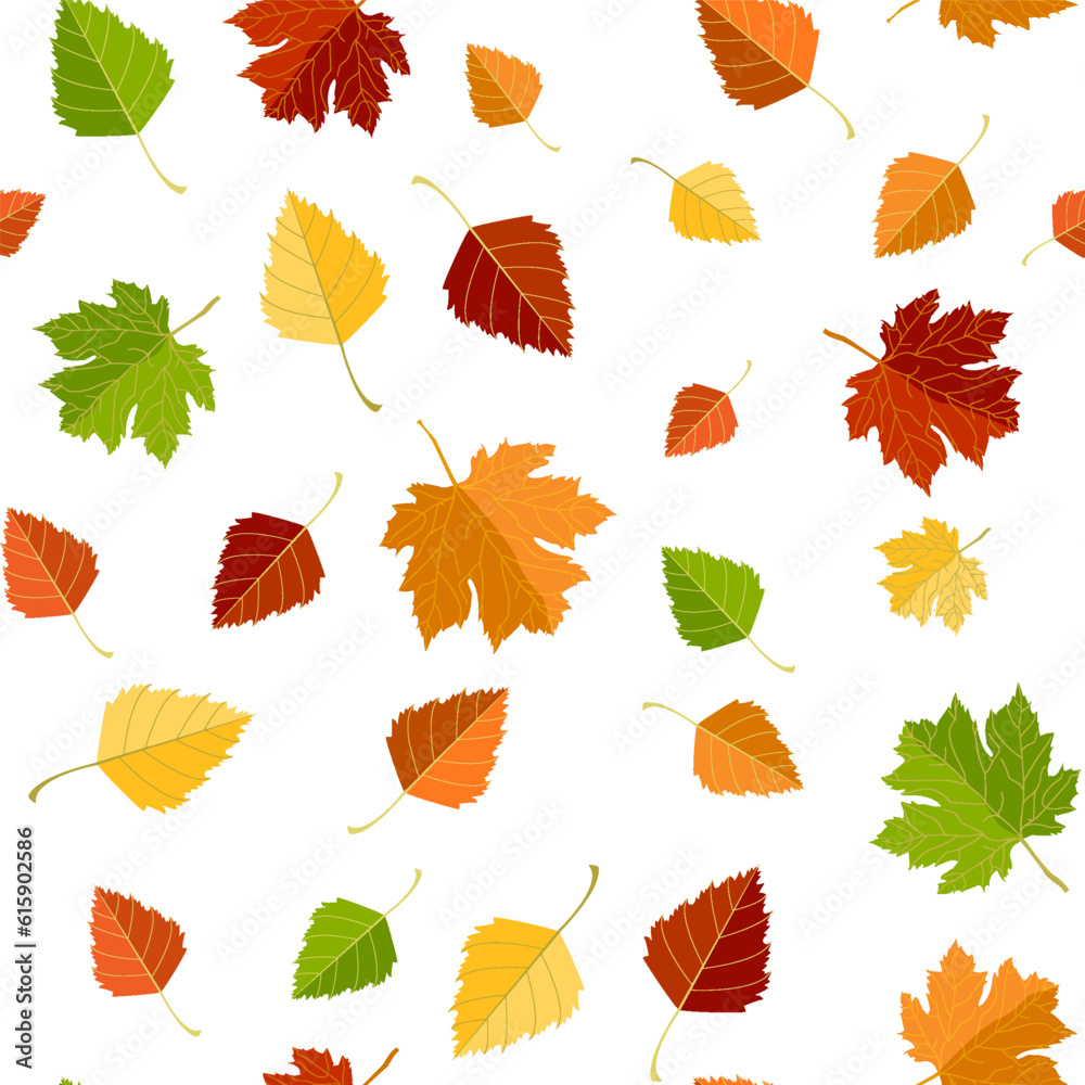 Fototapeta premium Multicolored autumn seamless pattern of autumn maple and birch leaves on a white or transparent background