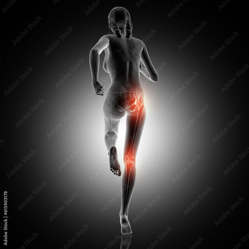 3D render of a rear view of a female running with knee and hip joint highlighted