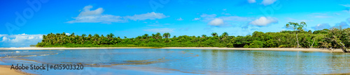 Panoramic photography with the river, mangroves and the beach beside the rainforest of Serra Grande on the coast of Bahia © Fred Pinheiro