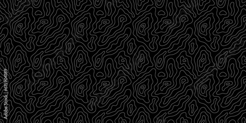 Abstract topographic map outline seamless pattern. Modern minimalist black and white topography landscape background design. Relief contour land line drawing wallpaper print texture.