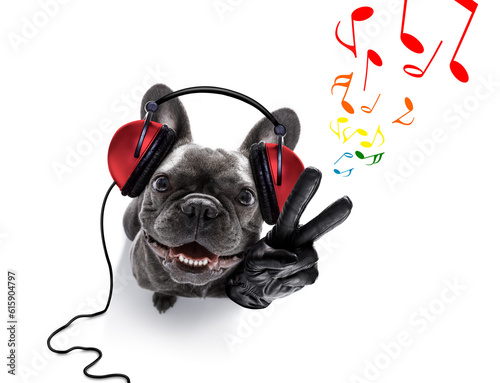 cool dj french bulldog dog listening or singing to music  with headphones and mp3 player, with peace or victory fingers,  isolated on white background photo