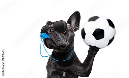 Fototapeta Naklejka Na Ścianę i Meble -  referee arbitrator umpire french bulldog dog blowing blue whistle in mouth ,catching a soccer ball,  isolated on white background